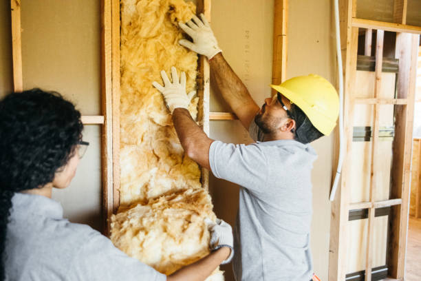 Best Soundproof Insulation Installation  in Dickinson, TX