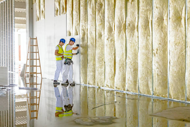 Best Home Insulation Services  in Dickinson, TX
